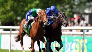 Superlative effort from Isaac Shelby at Newmarket