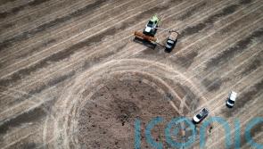 Ukraine’s anxious grain farmers face uncertainty as harvest begins