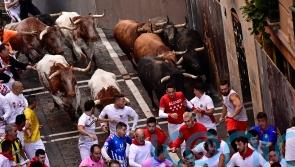 No serious injuries on fourth bull run in Pamplona