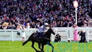 Burke favouring juvenile options for Queen Mary victor Dramatised