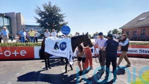 Marbling on song with Brownstown Stakes success at Fairyhouse