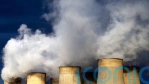Leadership race means ‘two weeks to save net zero’, Tory MPs warn