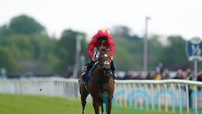 Quinn eyeing international campaign for Highfield Princess