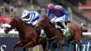 Haggas hoping for rain for Dubai Honour
