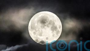 Supermoon should be ‘easy to spot’ if there are no clouds on Wednesday