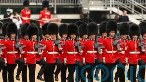 MPs: End barbaric killing of bears and change Queen’s Guard caps to faux fur