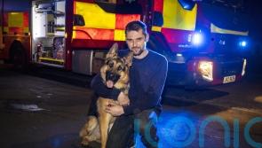 Relief after dog rescued from waterfall in Co Antrim