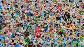 UK homes binning 100 billion pieces of plastic a year, survey finds