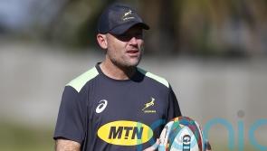 Jacques Nienaber recalls eight of South Africa’s World Cup winners to face Wales