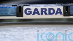 Woman aged in her 20s dies in Co Waterford crash