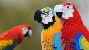 Lego pulls out of Russia, shutting 81 stores