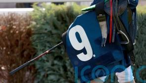 Bookmakers wait on more information regarding new whip policy