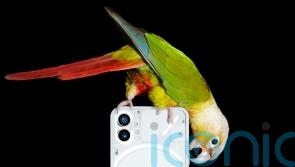 How does the Nothing Phone (1) compare to the iPhone and Samsung’s Galaxy S22?