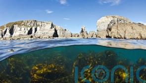Scientists embark on world-first study to reveal carbon stored in UK seas