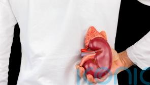 Number of families agreeing to organ donations dips for first time in years