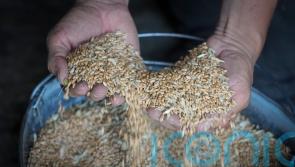 Russian and Ukrainian militaries set to discuss grain exports