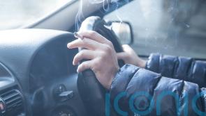 Towing, smoking in or transporting kids or pets can harm a used car’s value by 15%