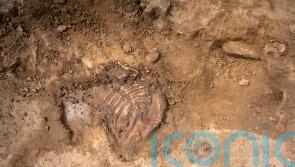Scottish archaeologist among those to discover rare Napoleonic remains
