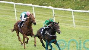 Goodwood Cup return in prospect for Ocean Wind