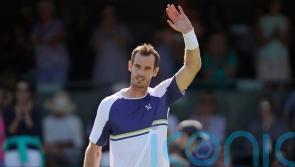 Andy Murray fights back to beat Max Purcell but limps off court with injury