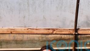 River cottage chef Gill Meller&rsquo;s tips for the perfect picnic