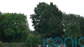 Stratford on Sunday brought forward due to heatwave