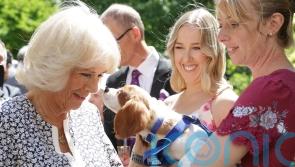 ‘Find a friend for life’ at Battersea Dogs and Cats Home urges Camilla