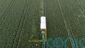 Investment needed for UK soils to boost food production, say farmers