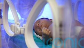 Plans for paid neonatal care leave move forwards with cross-party support