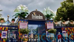 Danish rollercoaster to be scrapped after girl’s death