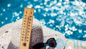 How to cope with extreme temperatures during the heatwave