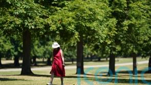 High temperatures a ‘wake-up call on climate change’