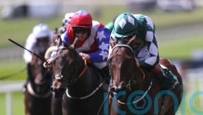 Mooneista primed for Sapphire defence at the Curragh