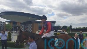 Perfect Alibi hits Newbury target