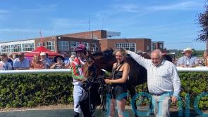 Francky Du Berlais retains Summer Plate title