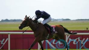 Lily Pond causes more than a ripple at the Curragh