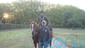 Torquator Tasso given green light for King George