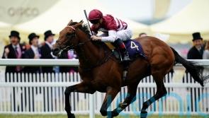 Boughey eyeing Haydock or Deauville for Missed The Cut