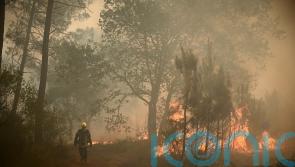 France and Spain fight wildfires as Europe swelters