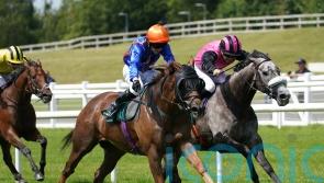 Mr Wagyu given Stewards’ Cup green light