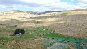 Community calls for donors to help with buyout of land for nature reserve