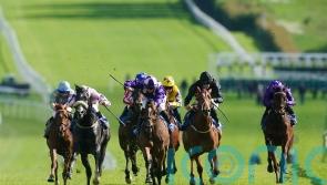 Tagline setting the standard in promise-packed Star Stakes
