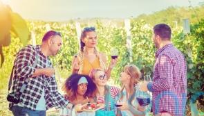 6 summer red wines to chill and sip in the sunshine