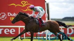 Westover tops super six hunting King George crown