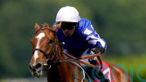 Dance In The Grass looks to have bright future