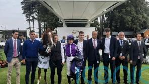 Proud And Regal stays unbeaten with stylish Leopardstown victory