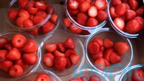 Farmers left with glut of strawberries and cherries after heatwave growth spurt