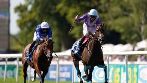 Alcohol Free all set to give Jeff Smith more Goodwood glory