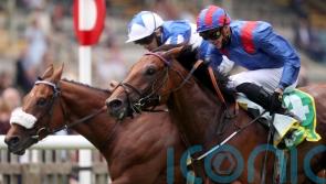 Classy Dubai Honour back in domestic action at York
