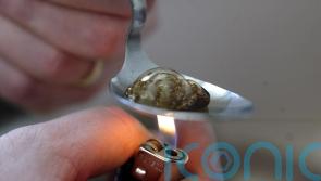 Tougher penalties for drug crime would damage work to tackle crisis – minister